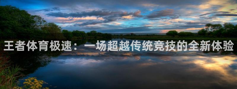 833直播官网：王者体育极速：一场超越传统竞技的全新体验
