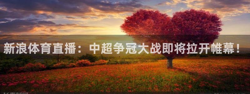 833直播nba高清直播：新浪体育直播：中超争冠大战即将拉开帷幕！