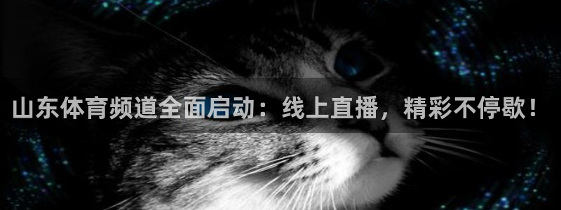 833直播平台：山东体育频道全面启动：线上直播，精彩不停歇！