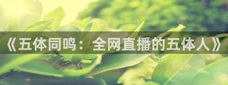 足球833直播免费观看直播：《五体同鸣：全网直播的五体人》