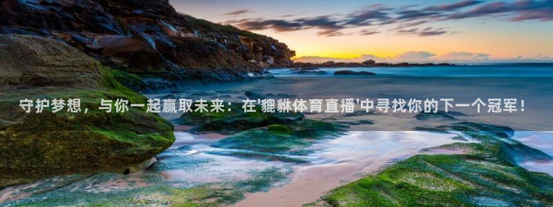 833直播轻量版：守护梦想，与你一起赢取未来：在\'貔貅体育直播\'中寻找你的下一个冠军！