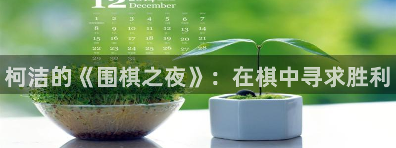 833直播平台：柯洁的《围棋之夜》：在棋中寻求胜利