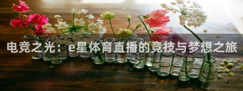 833直播nba免费观看：电竞之光：e星体育直播的竞技与梦想之旅