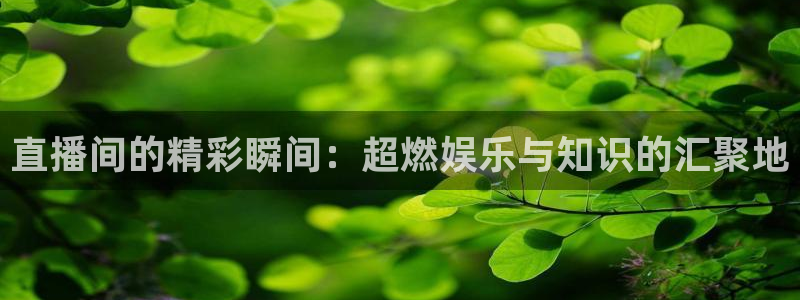 833直播比赛免费观看入口
