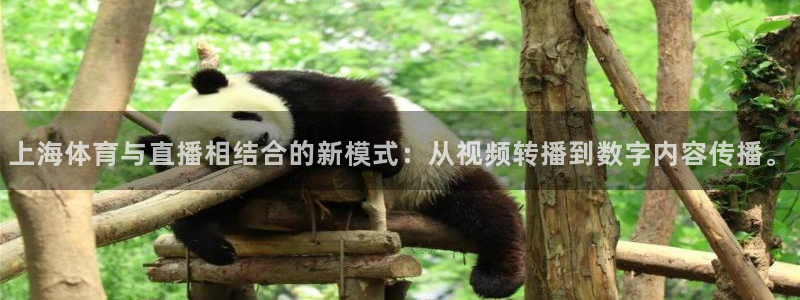 英超833直播免费观看：上海体育与直播相结合的新模式：从视频转播到数字内容传播。