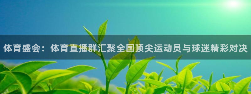 833直播体育nba：体育盛会：体育直播群汇聚全国顶尖运动员与球迷精彩对决
