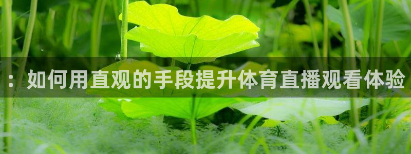 833直播体育免费入口：：如何用直观的手段提升体育直播观看体验