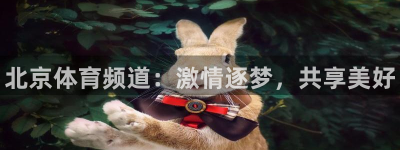 833直播平台：北京体育频道：激情逐梦，共享美好
