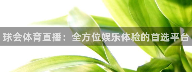 833直播频道：球会体育直播：全方位娱乐体验的首选平台