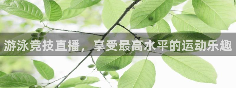 833直播体育：游泳竞技直播，享受最高水平的运动乐趣