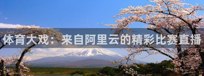 833直播体育免费入口：体育大戏：来自阿里云的精彩比赛直播