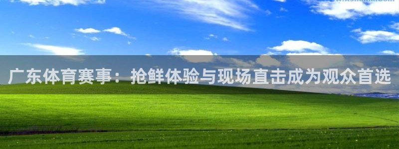 833直播体育nba：广东体育赛事：抢鲜体验与现场直击成为观众首选