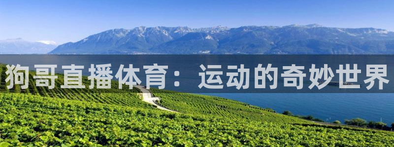 833直播免费观看：狗哥直播体育：运动的奇妙世界