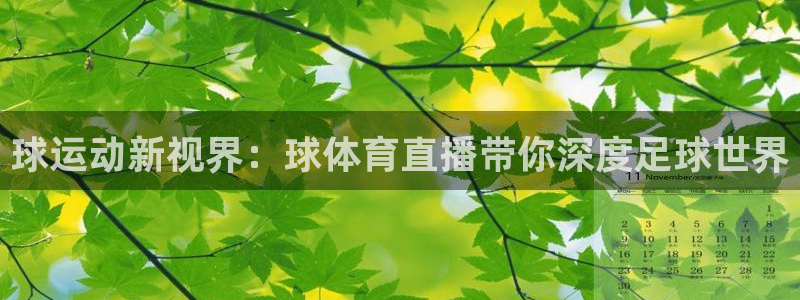 833直播nba免费观看高清直播：球运动新视界：球体育直播带你深度足球世界